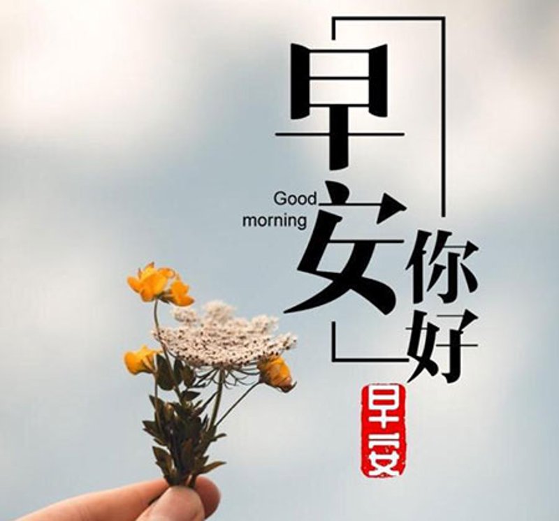 七公的情感世界：寻找心灵的慰藉与成长